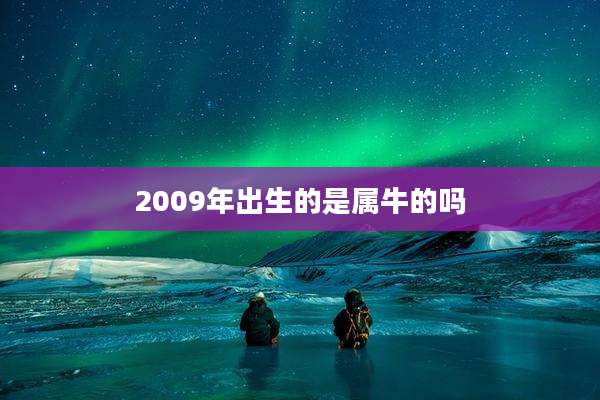 2009年出生的是属牛的吗