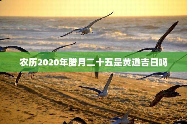 农历2020年腊月二十五是黄道吉日吗