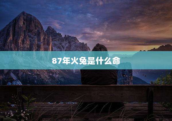 87年火兔是什么命