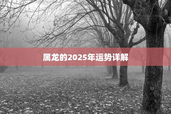 属龙的2025年运势详解