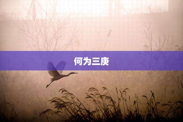 何为三庚