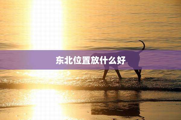 东北位置放什么好