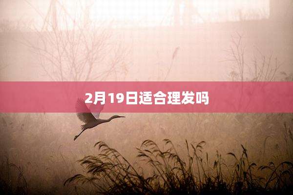 2月19日适合理发吗