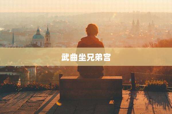 武曲坐兄弟宫
