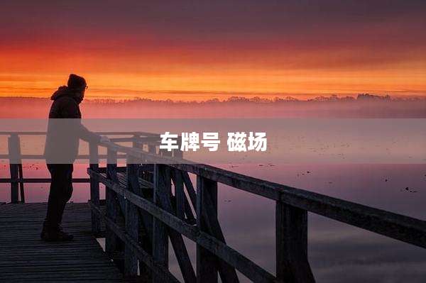 车牌号 磁场