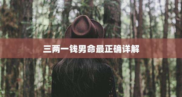 三两一钱男命最正确详解