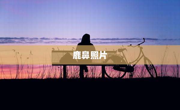 鹿鼻照片