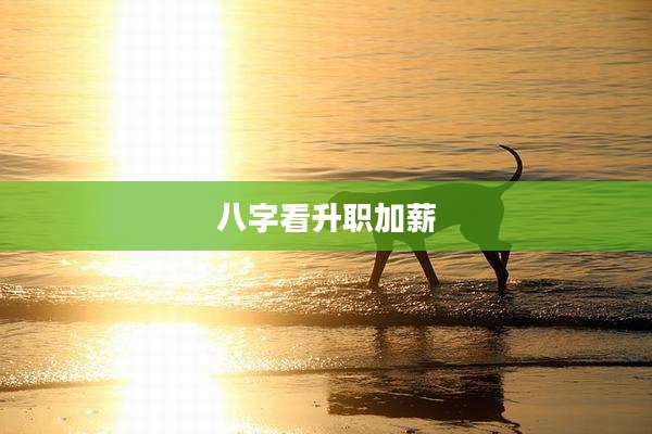 八字看升职加薪