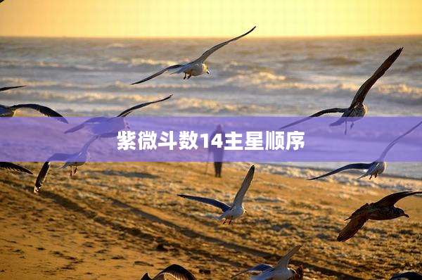 紫微斗数14主星顺序