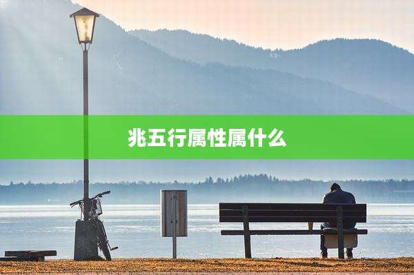 兆五行属性属什么