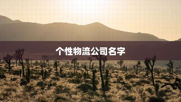 个性物流公司名字
