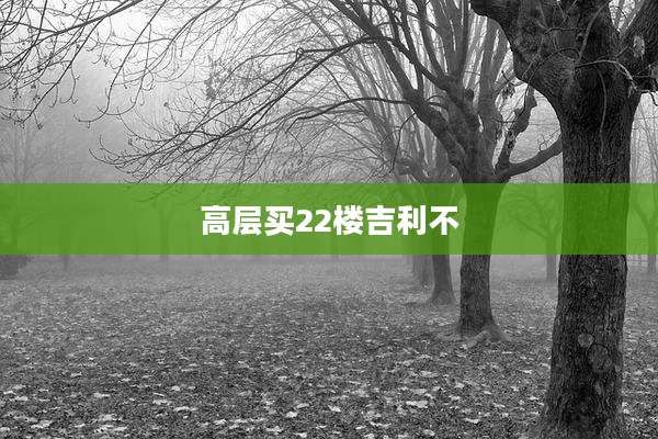 高层买22楼吉利不