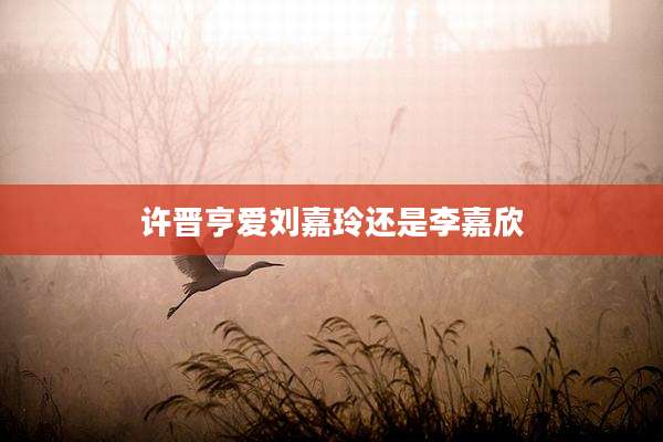 许晋亨爱刘嘉玲还是李嘉欣