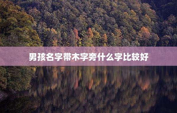 男孩名字带木字旁什么字比较好