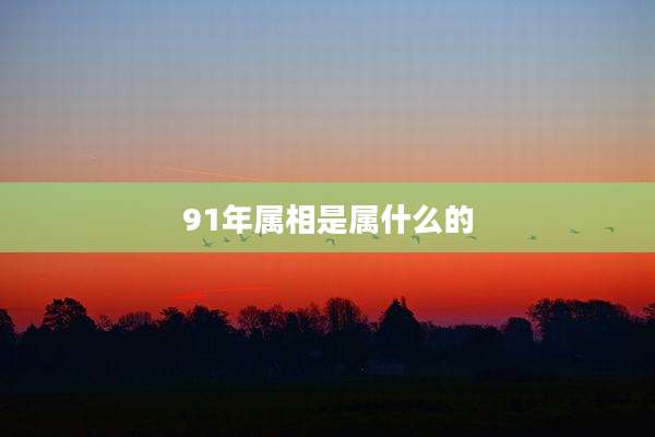 91年属相是属什么的
