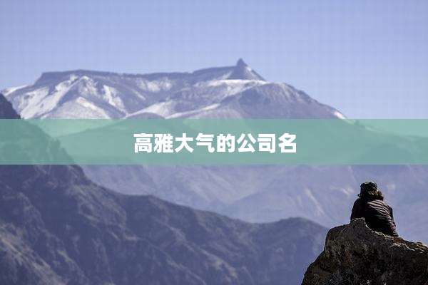 高雅大气的公司名