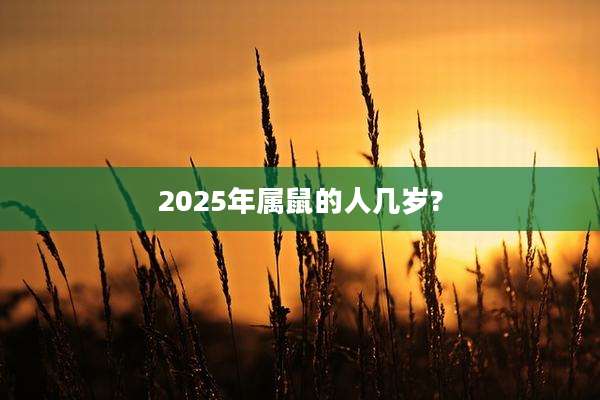 2025年属鼠的人几岁?