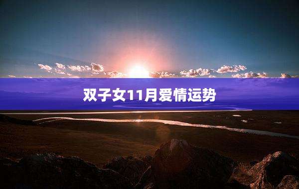 双子女11月爱情运势