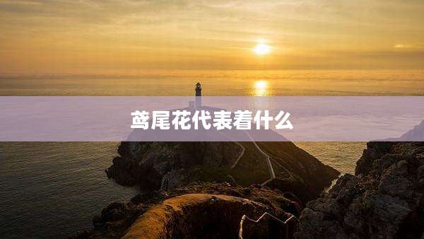 鸢尾花代表着什么