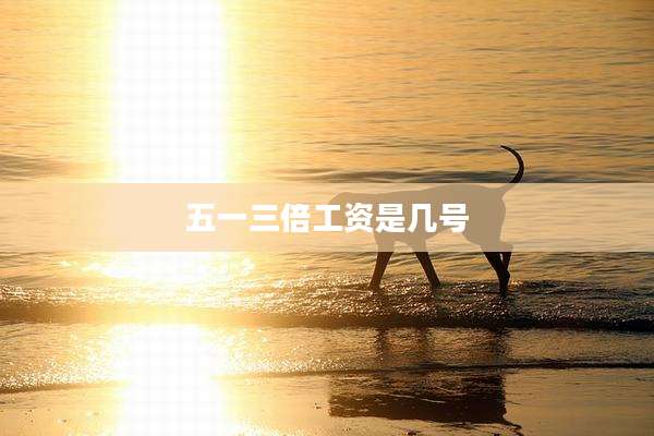 五一三倍工资是几号