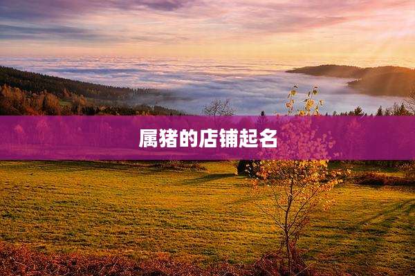 属猪的店铺起名