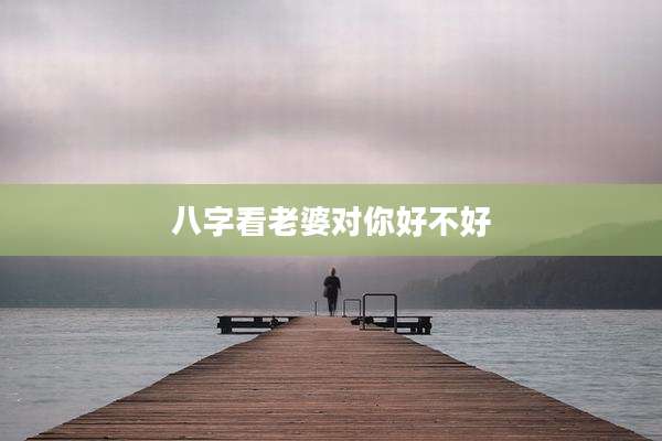 八字看老婆对你好不好