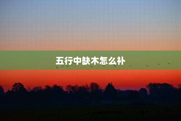 五行中缺木怎么补