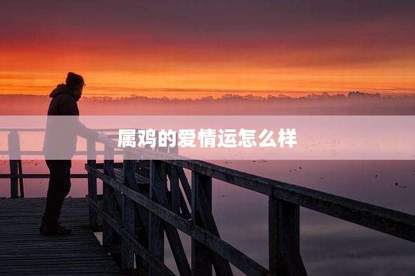 属鸡的爱情运怎么样