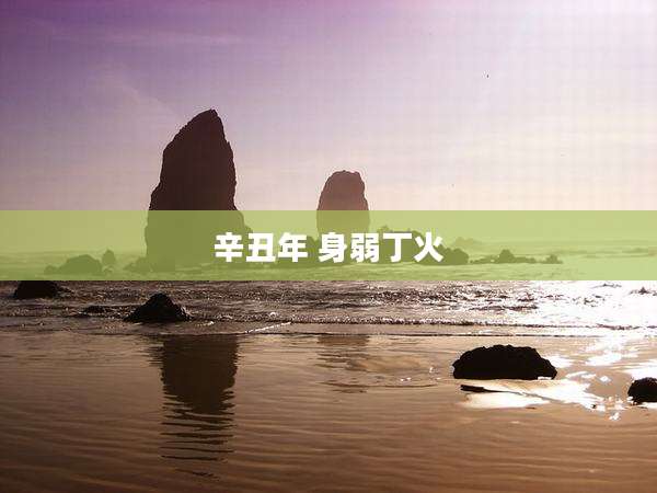 辛丑年 身弱丁火