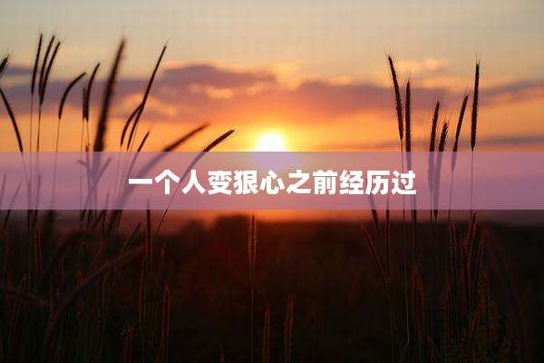 一个人变狠心之前经历过
