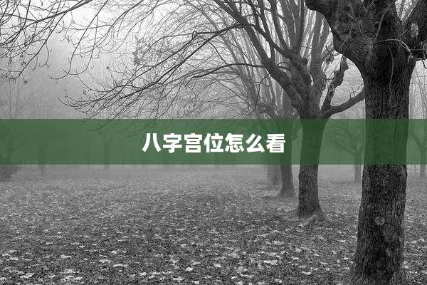 八字宫位怎么看