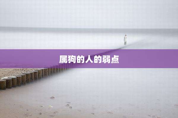 属狗的人的弱点