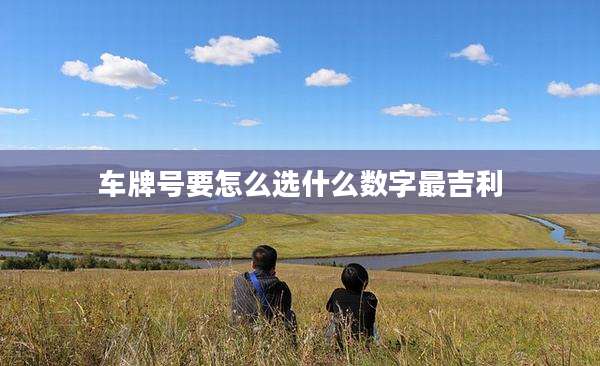 车牌号要怎么选什么数字最吉利