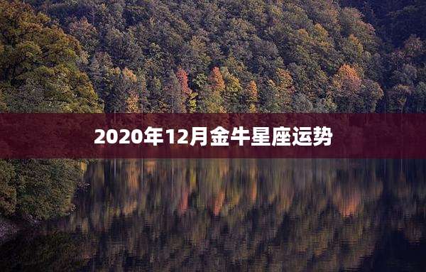 2020年12月金牛星座运势