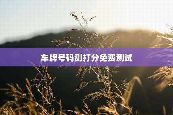 车牌号码测打分免费测试