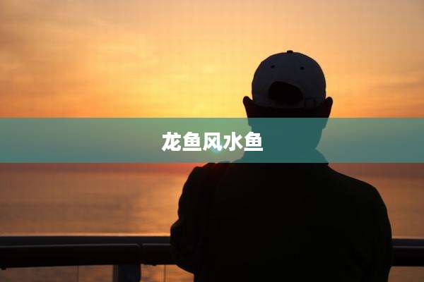 龙鱼风水鱼