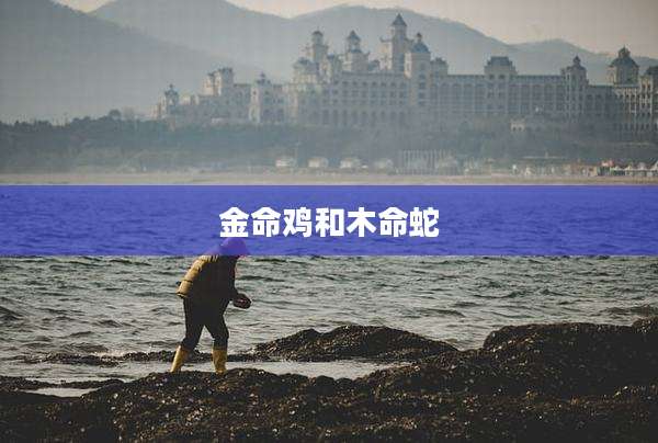 金命鸡和木命蛇