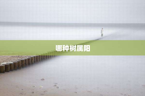 哪种树属阳