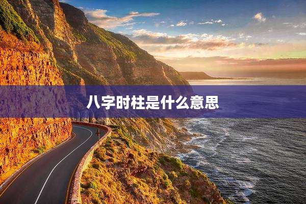 八字时柱是什么意思