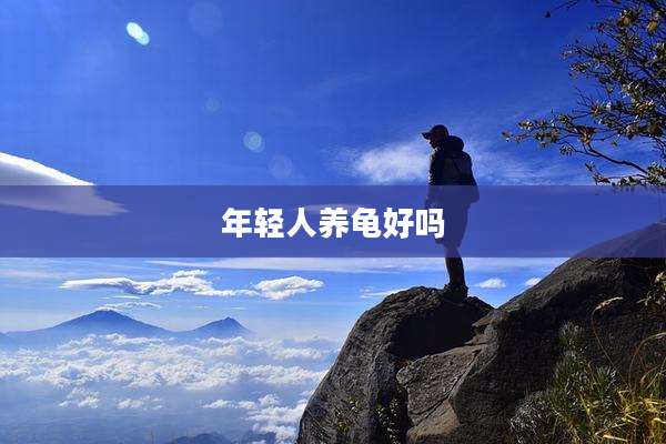 年轻人养龟好吗