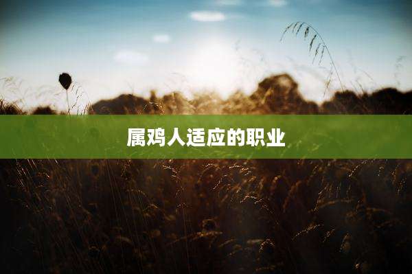 属鸡人适应的职业