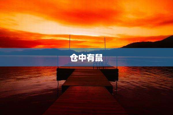 仓中有鼠