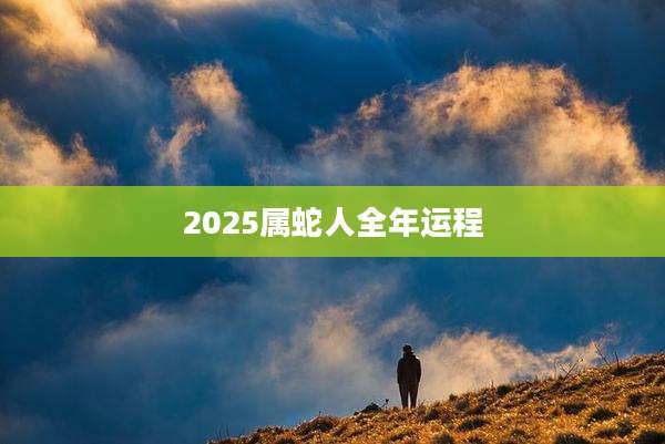 2025属蛇人全年运程