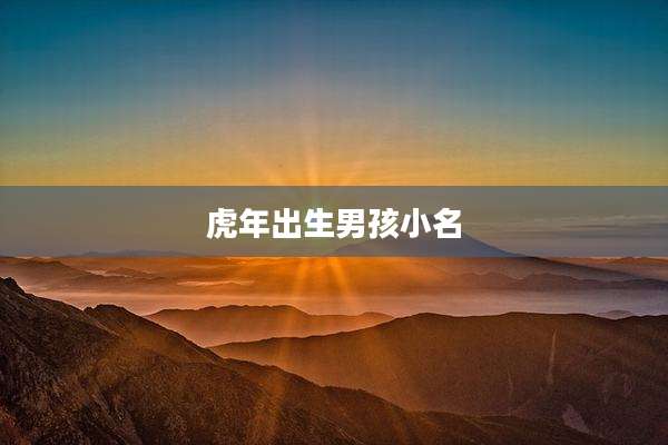 虎年出生男孩小名