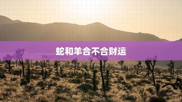 蛇和羊合不合财运