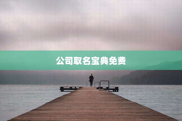 公司取名宝典免费
