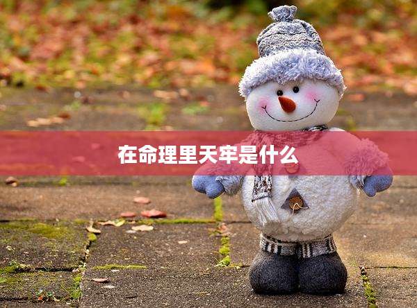 在命理里天牢是什么