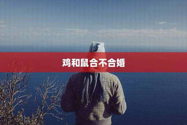 鸡和鼠合不合婚