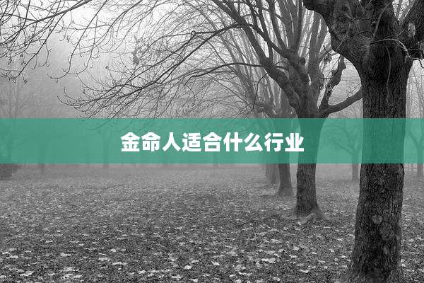 金命人适合什么行业