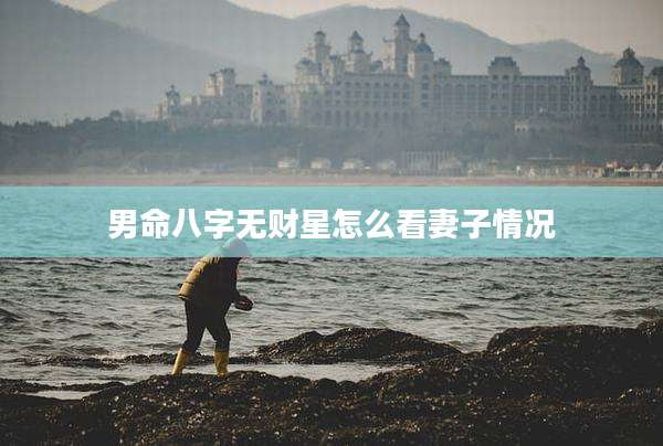 男命八字无财星怎么看妻子情况
